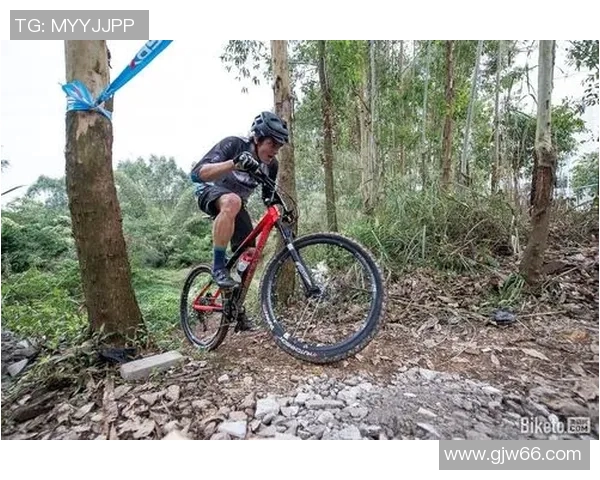 杭州极限运动队战术创新与转型解析深度剖析 杭州极限运动队战术创新与转型解析深度剖析