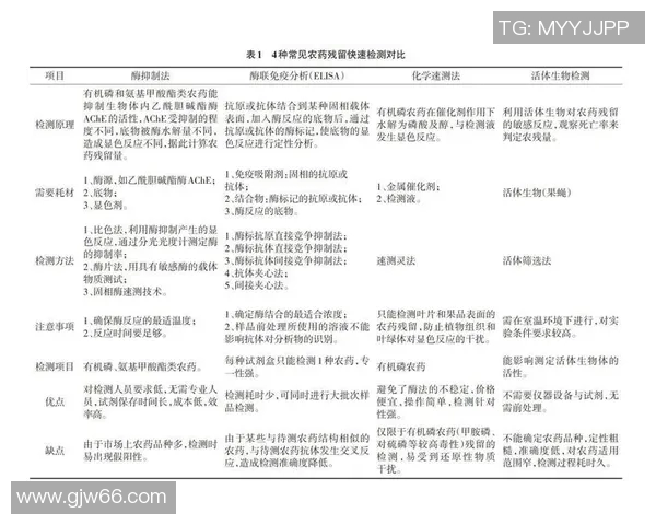 深圳羽毛球队的节奏与战术分析探讨及其在比赛中的应用