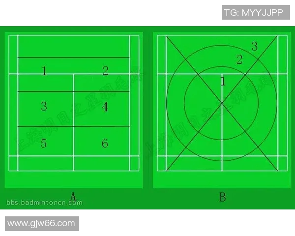 西安羽毛球队战术表现的数据分析与优化策略探讨 西安羽毛球队战术表现的数据分析与优化策略探讨