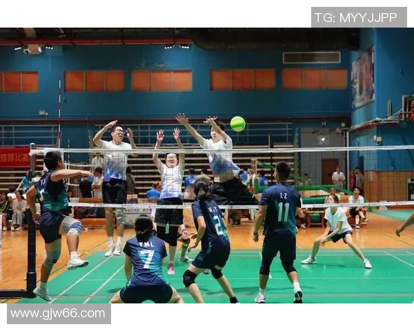 广州排球队运营体系中的排球战术探索与实践分析